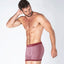bord/5391_boxer_PRINCIPAL.jpg